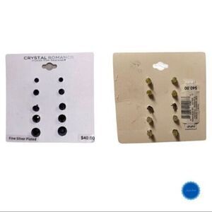 2 Packs of Silver Plated Earrings